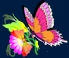 ADSA Gratis Advertensies Tema:Kleur (Pienk Vlindertjie) * ADSA Free Ads Theme: Color (Pink butterfly)